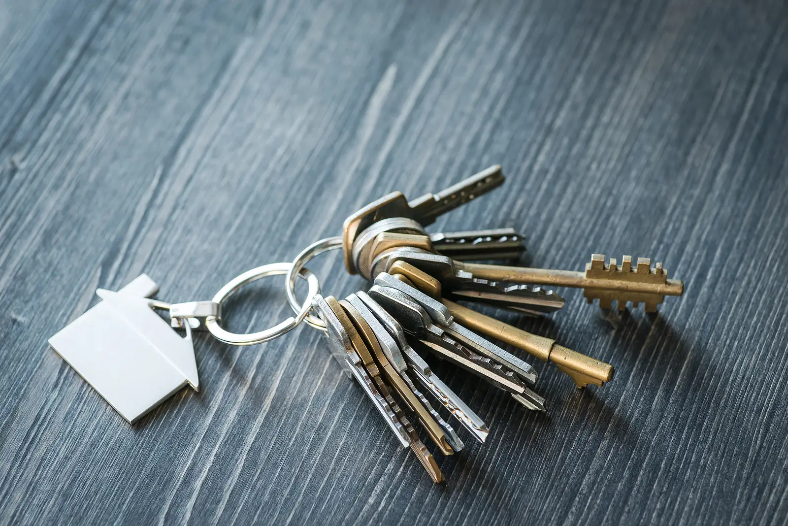 Understanding Squatter Rights: How Lakeland Landlords Can Protect Their Properties